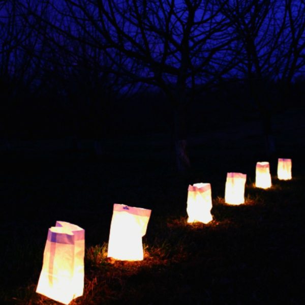 Orchard by Candlelight Luminarias