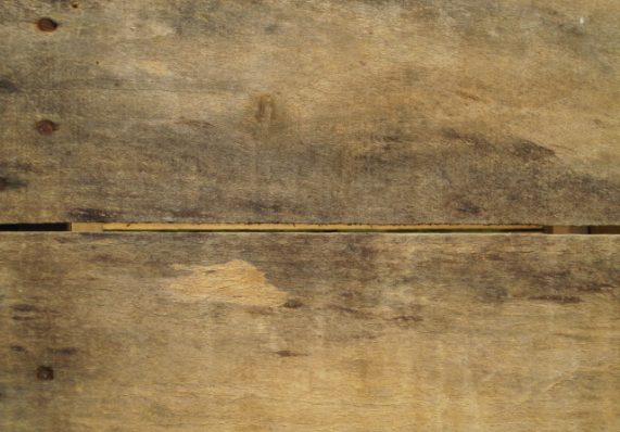 kordick-family-farm-apple-crate-closeup-nails on L